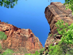 zion national park 7 800