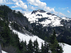 mt. baker  wash. 15 800