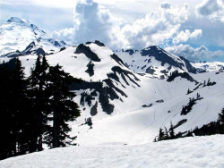 mt. baker  wash. 19 800