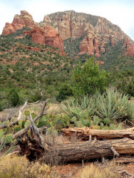 sedona red rock 13 800