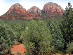 sedona red rock 15 800