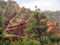 sedona red rock 7 800