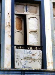 52 child of love in brazil 800