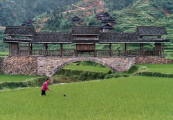 china covered bridge 4 8007