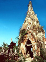 20  buddhist temple overgrown by vegetation 800