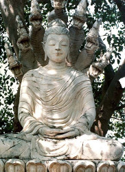 50 buddhist statue in ulsan  south korea 800