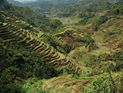 30 4000 year old rice terraces in the mountain province of luzon island 800
