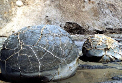 31 round rocks along the coast of arica  chile 800