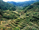 38 terraced hillsides in the philippines 800