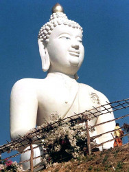 41 statue of buddha near chiang rai 800