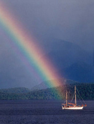 1 at the end of the rainbow in new zealand 800