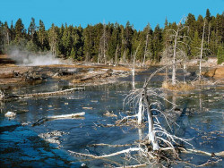 6 steaming geyser inside yellowstone national park 800