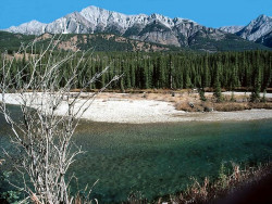 8 the bow river in alberta  canada 800