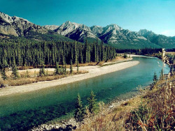 9 alongside the icefields parkway in banff 800