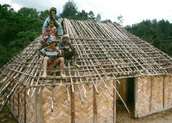 53 finishing off a home in papua new guinea 800