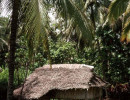 86 thatched home in papua new guinea 800