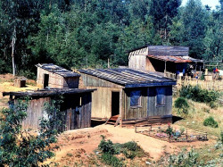 96 family compound in coastal region of papua new guinea 800