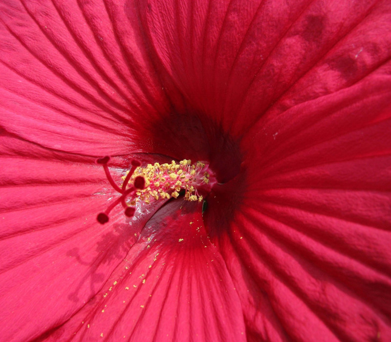 2012 blues festivals 395