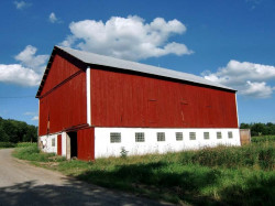 red barn 800