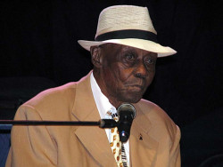 pinetop perkins 800