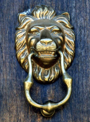 15 Polished lions head from La Paz  Bolivia 800