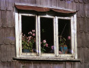 9 Sunny window in southern Chile 800