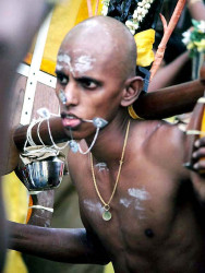 10 Carrying the burden on his shoulders 800