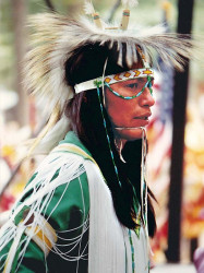 16 North American Native 800