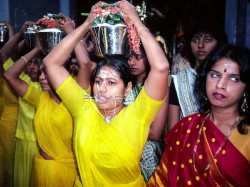 17 SingaporeThaipusum . . . alt. image 800