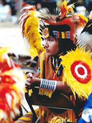 20 Young North American Indian 800