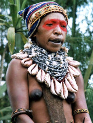 10 Traditional necklace of shells in the Central Highlands 800