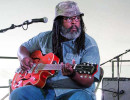 alvin youngblood hart