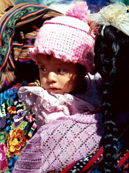 19 all dolled up for market day