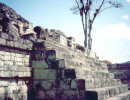 14 steps in the copan ruins in honduras