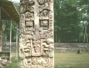 15 well preserved mayan stela at copan
