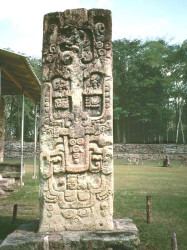 15 well preserved mayan stela at copan