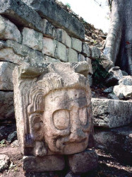 21 a lone maya sculpture at copan