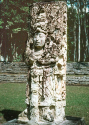 22 maya stela in the courtyard of a temple of copan