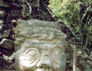 28 lone carved face sitting on a rock in copans mayan archaeological site