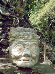 28 lone carved face sitting on a rock in copans mayan archaeological site