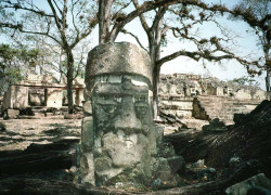 43 large maya head at the ruins of copan
