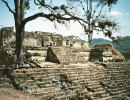 7 part of the main acropolis at copan
