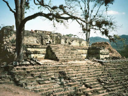 7 part of the main acropolis at copan