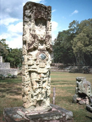 8 mayan stela at the copan site