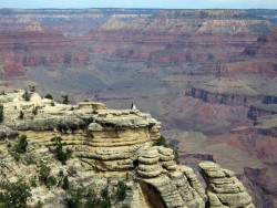 grand canyon 25