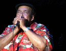 james cotton 6