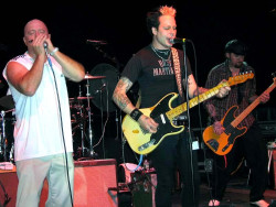 kim wilson   fabulous t birds