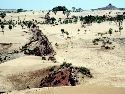 157 its final defense