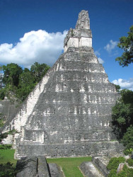 12 tall mayan pyramid in tikal