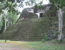 14 moss covered steps of a mayan temple in tikal  guatemala